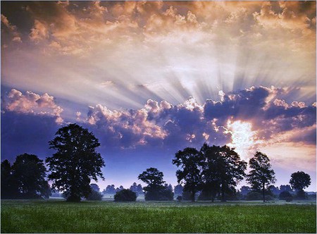 Dawn of a new day - clouds, blue sky, trees, sunrise, dawn, grass