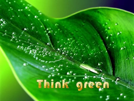 Think green - nature, green, life, leave