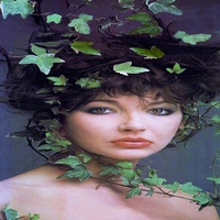 Ivy