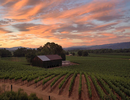 Sunset Over Ukiah - vineyard, sunset, nature, sky