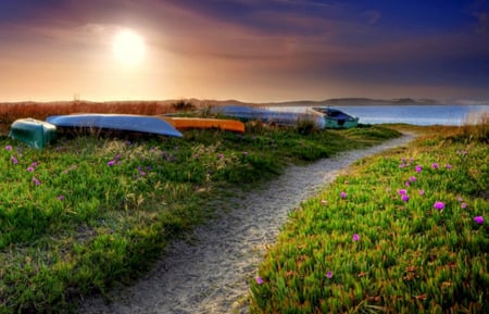 Forgotton - path, water, flowers, lake, clouds, field, sunset, walkway, boats