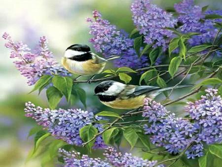 Chickadees - wide screen, trees, animals, spring, painting, art, purple, chickadees, blossoms, artwork, outdoor, birds, wildlife, branches, bird, avian, lilacs, animal, leaves, flowers