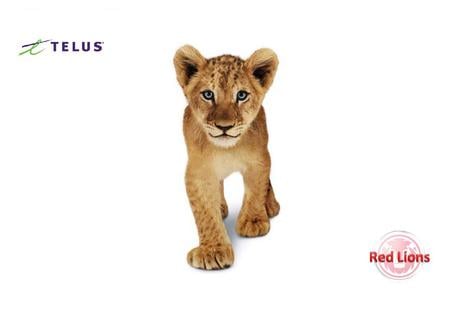 Red Lios - lions, red, telus, staff