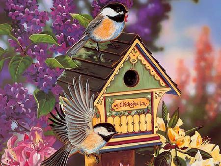 For my little Chickadee - flowers, bird house, birds, chickadee, leaves