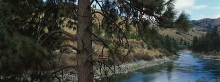 nature - river, forest, water, nature