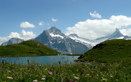 Beautiful Switzerland - sky, mountain, hills, alpine, wild, snow, blue, clouds, reservoir, flower