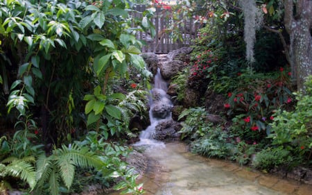 Magical Pond - nature, beautiful, park, garden, public