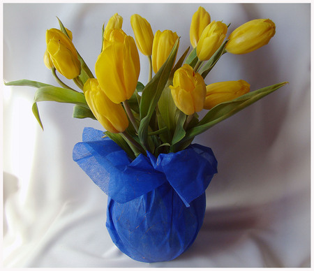 bouquet - yellow, blue, photography, beauty, still life, bouquet, harmony, flowers, flower vase, tulips