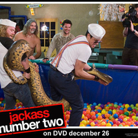 man fighting snake on jackass