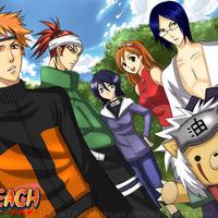 bleach/naruto