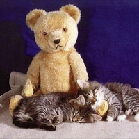 Sweet dreams with bear toy