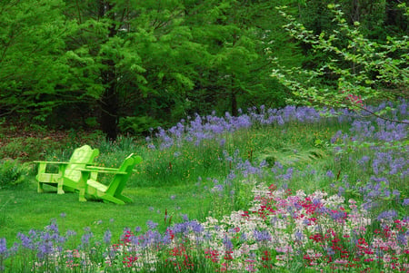 Peaceful garden - flowers, peaceful, green, garden