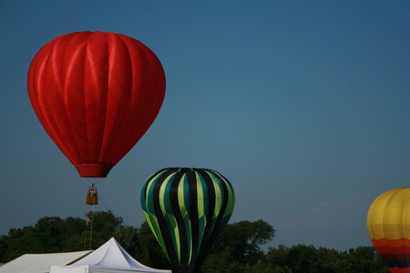 Balloon Festival - balloons, hot-air, festival, fair