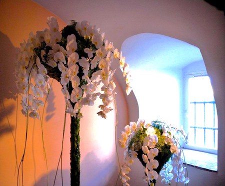 By the light of the window - arrangements, white, cascading flowers, light, bow window, sun