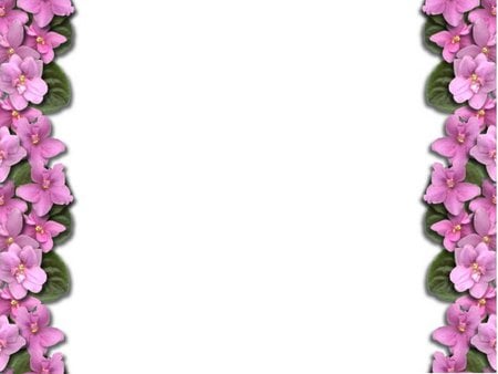 Violet double border - violet, flower, border, abstract