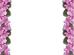 Violet double border