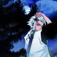 bleach shinigami captain hitsugaya