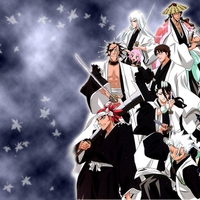 bleach the captains