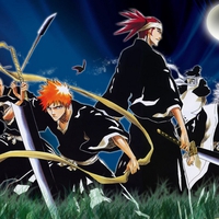 bleach the usual heroes