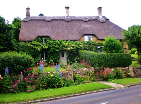 English country cottage - cottage, england, trees, roses, thatched roof, colors, flowers, bushes