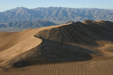 Sand Dragon - morning, dunes, sand, desert