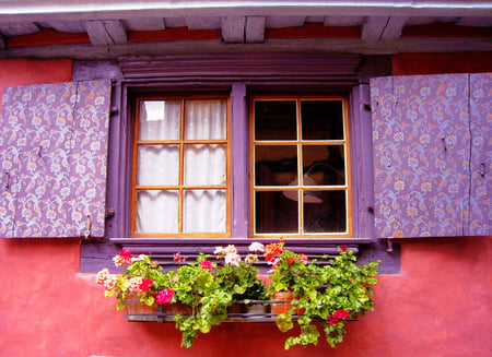 Flowered window - house, flowers, window, building