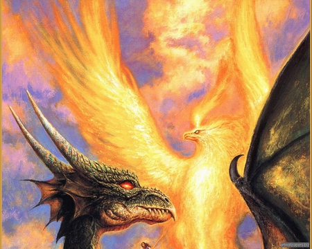 Dragon vs phoenix - combact, phoenix, dragon, fire