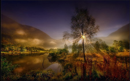 Sunset Tree - lake, meadow, cool, tree, scene, hot, sunset