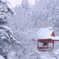 Buddhist Temple in Winter