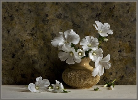 white harmony - white, photography, beautiful, bouquet, flowers, flower vase, still life, harmony