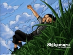 shikamaru punch the sky