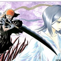 bleach ichigo and rukia