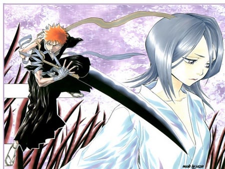 bleach ichigo and rukia