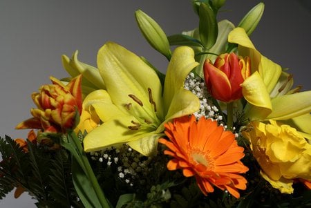 Mix of flowers - mix, lillium, gerber, flower