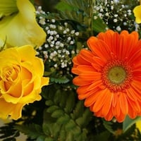 Yellow rose and orange gerber