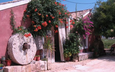 Alykanas-House - house, alykanas, flowers, pink