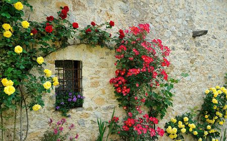 Contr-Alba---Tretto---Vicenza - flowers, tretto, window, vicenza, contr alba