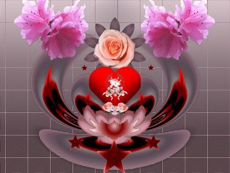 The Pink Rose - eye candy, collage, 3d, fractal, abstract