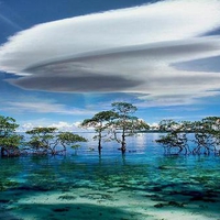 Clouds, water and trees