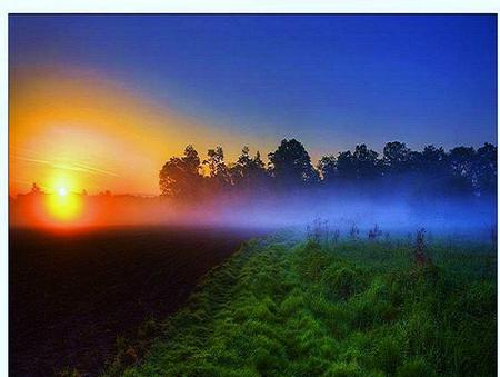 Sunset mists - blue sky, trees, sunset, mists, blue, green