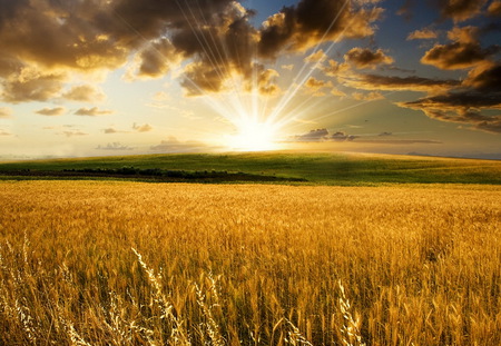 sunrise - yellow, clouds, country, sun