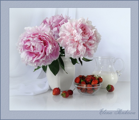 still life - vase, strawberries, milk, photography, beauty, flower bouquet, pink, still life, jug, peonies, harmony, flowers