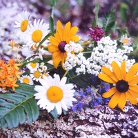 Floral log