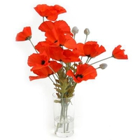 Red Poppy Vase