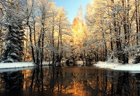 winter - snow, lake, trees, water