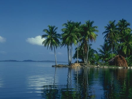 Beach and Sea - beach, ocean, palmes, palm