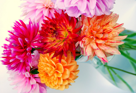 Summer's dahlias - flowers, vase, dahlias, garden