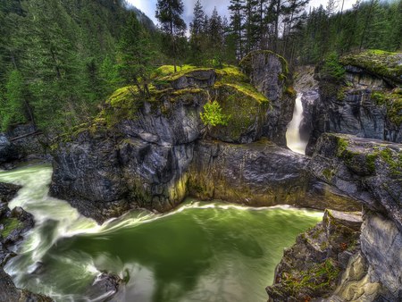 Falls - river, forest, nature, falls