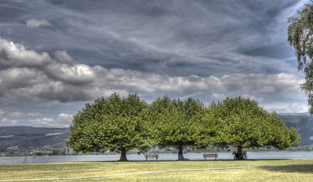 Three Tree - lake, beach, landscape, nature, clouds, beautiful, scenery, tree, hdr