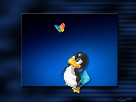 Linux penguin - butterfly, linux, pc, penguin